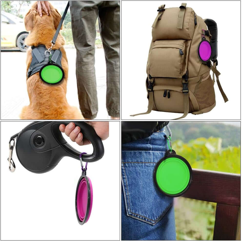 Collapsible Dog Bowls