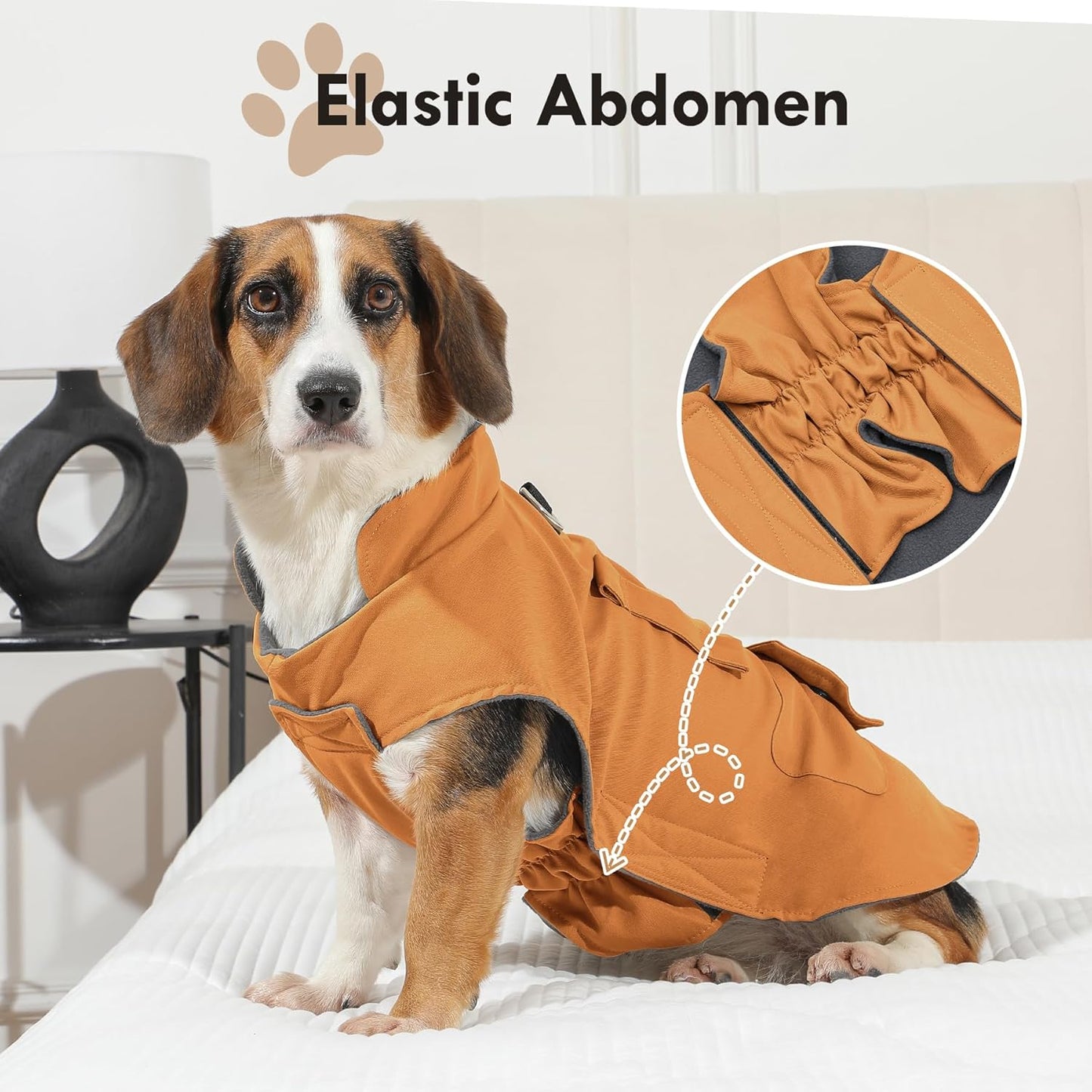 Stylish Windproof Dog Coat