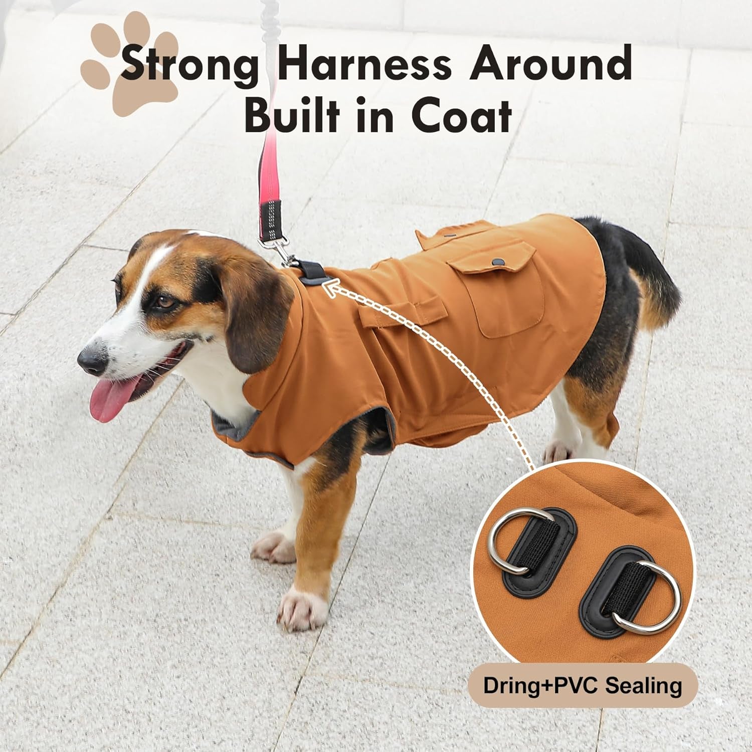 Stylish Windproof Dog Coat