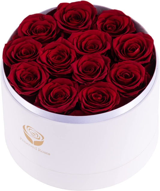 Preserved Red Roses