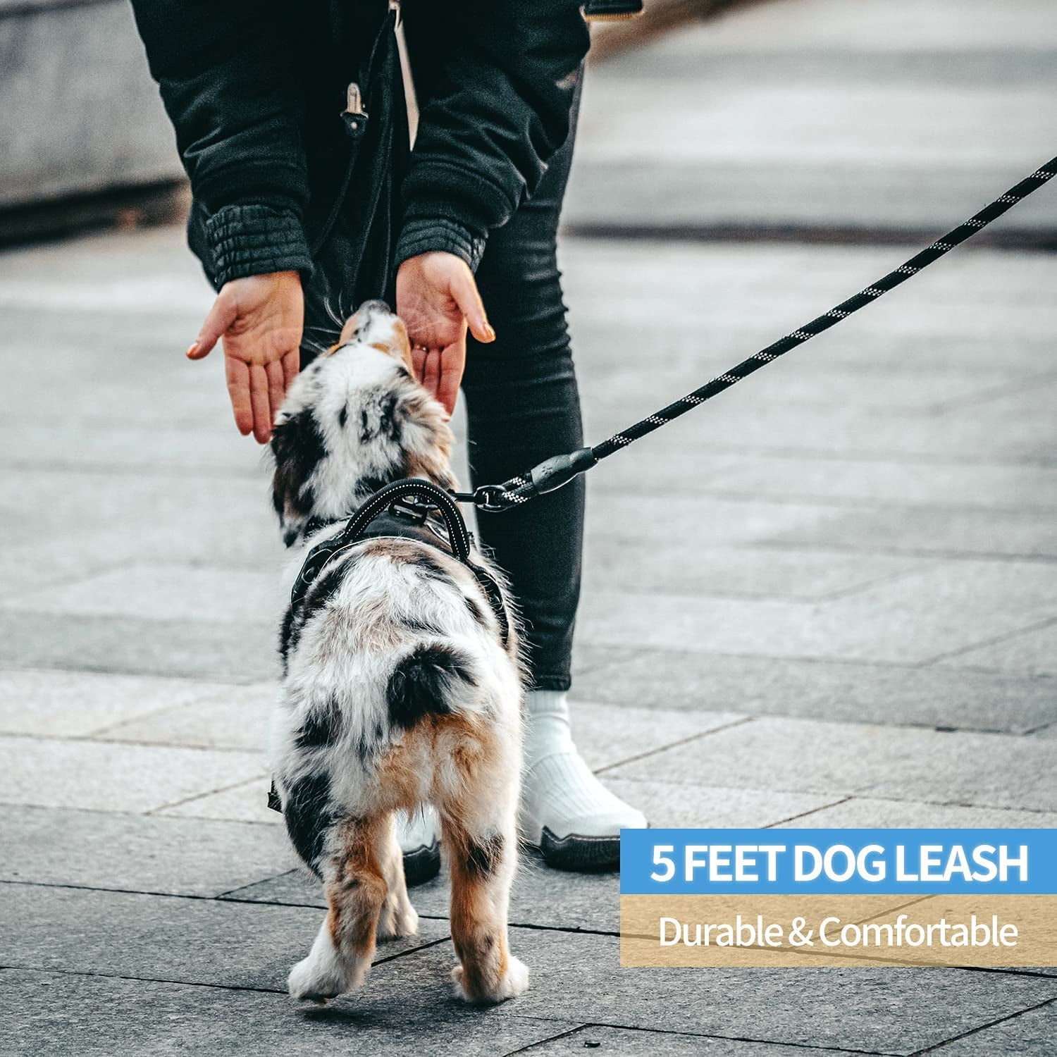 Premium Reflective Dog Leash