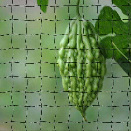 33FT Anti Bird Netting Pond Net Protection Tree Crops Plants Fruits
