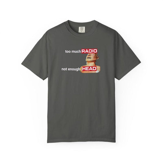Too Much Radio, Not Enough Head Shirt (100% Cotton) Gildan, Brainrot Offensive Inappropriate Adult Humor Shirt, Silly Gag Shirt, Stupid Vintage Raunchy Tshirt