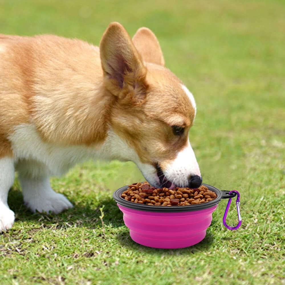 Collapsible Dog Bowls