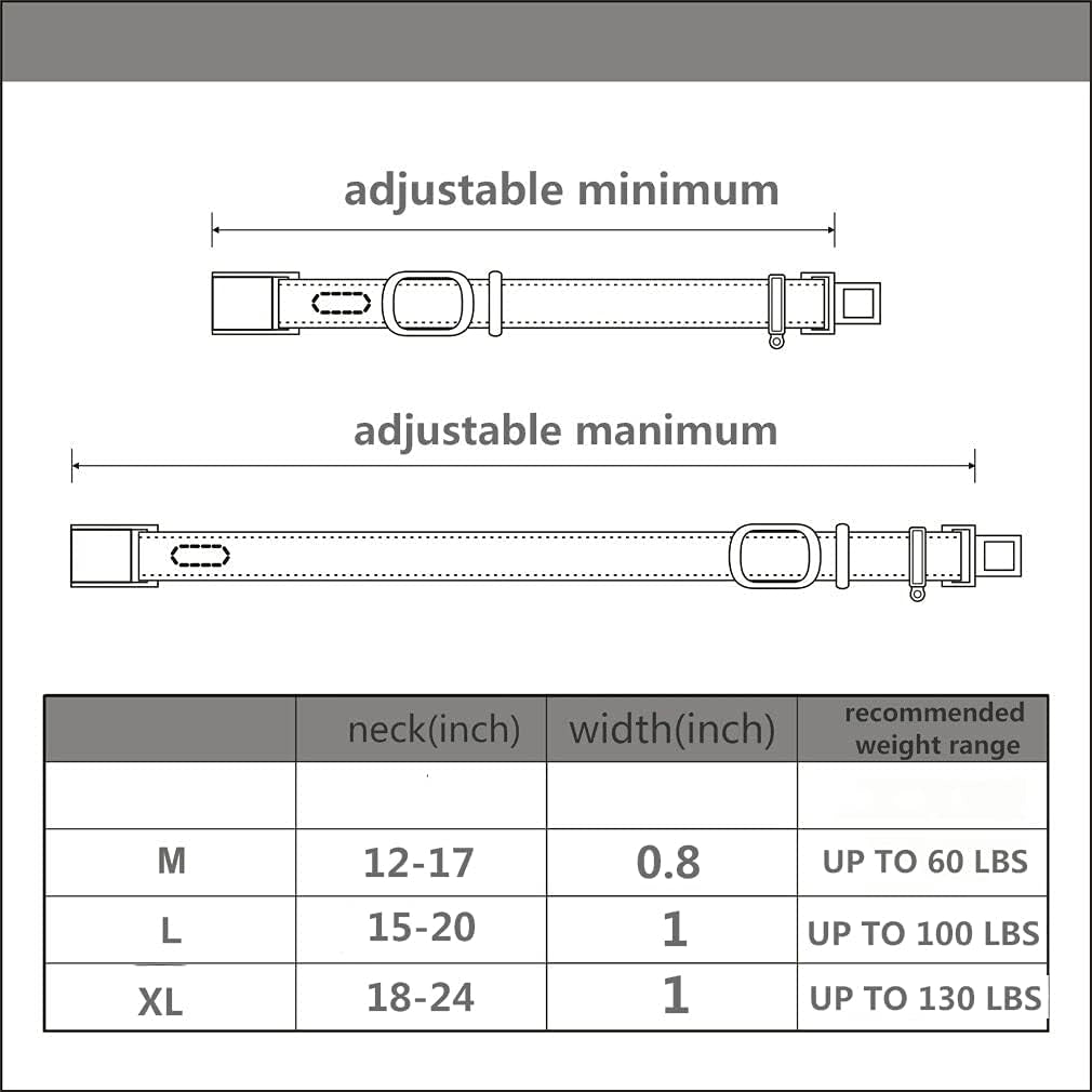 Ultimate Adjustable Heavy-Duty Nylon Dog Collar