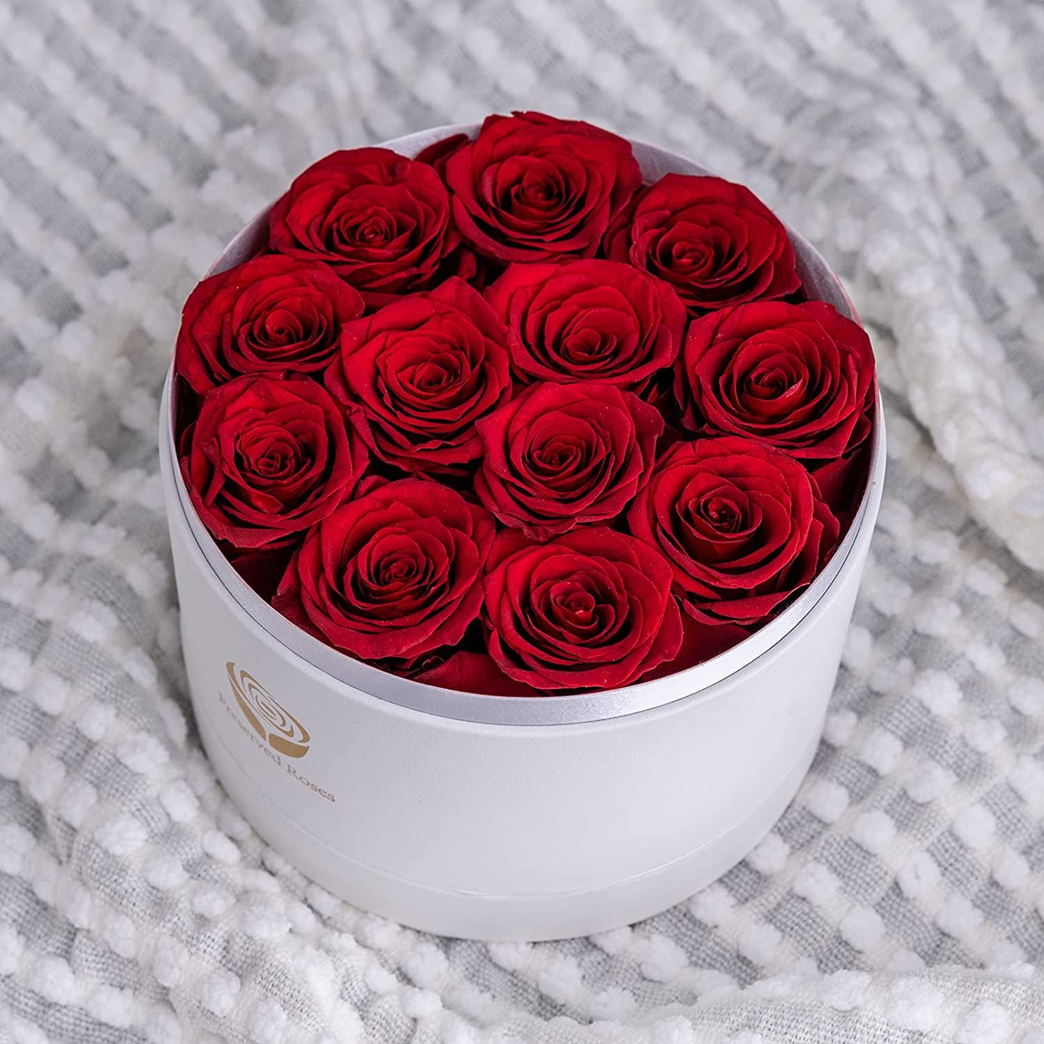 Preserved Red Roses