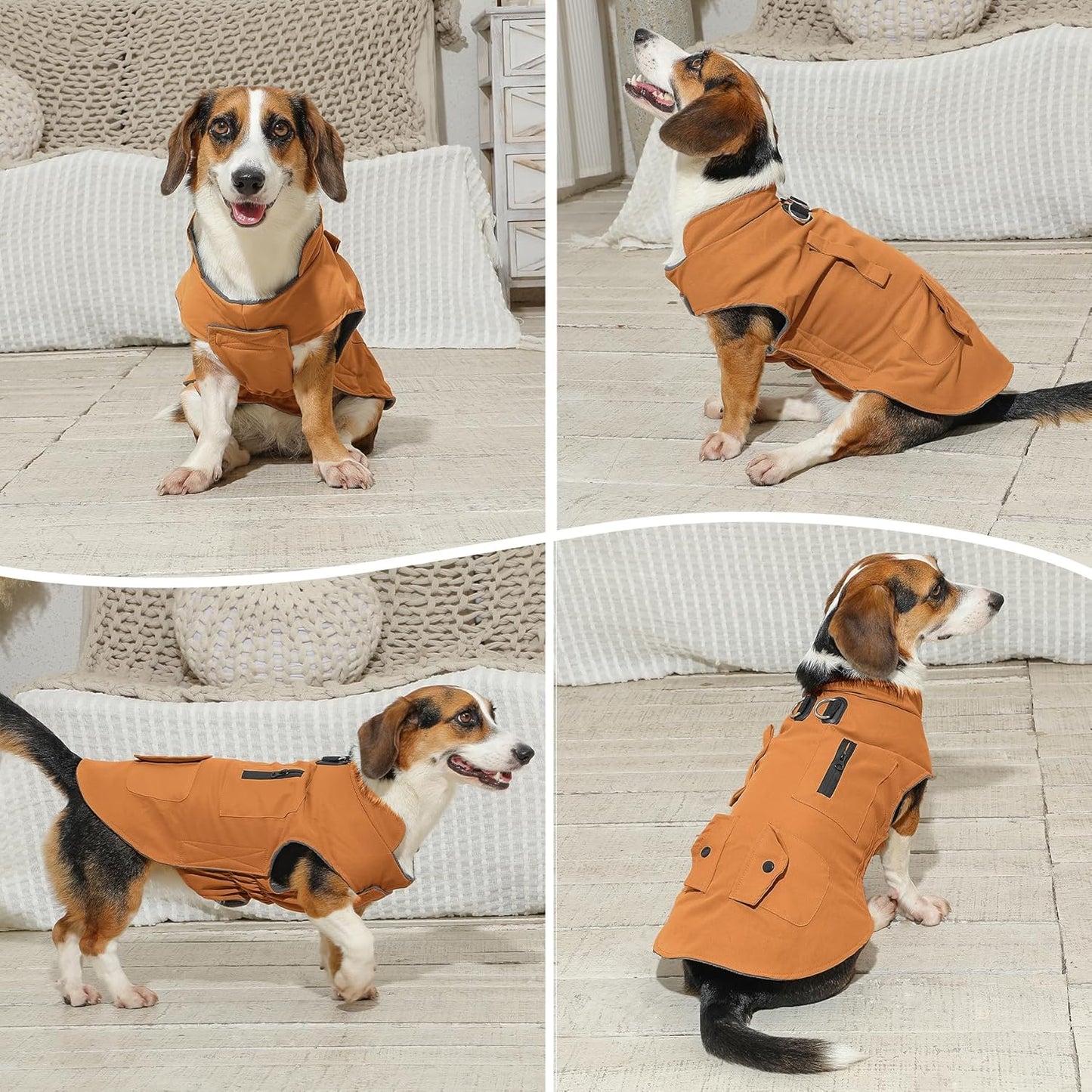 Stylish Windproof Dog Coat