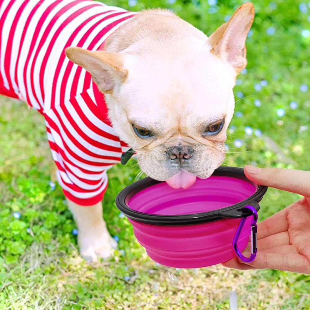 Collapsible Dog Bowls