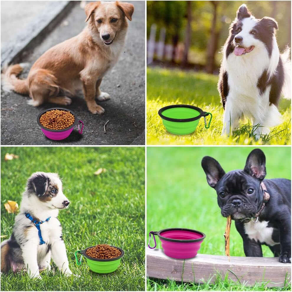 Collapsible Dog Bowls