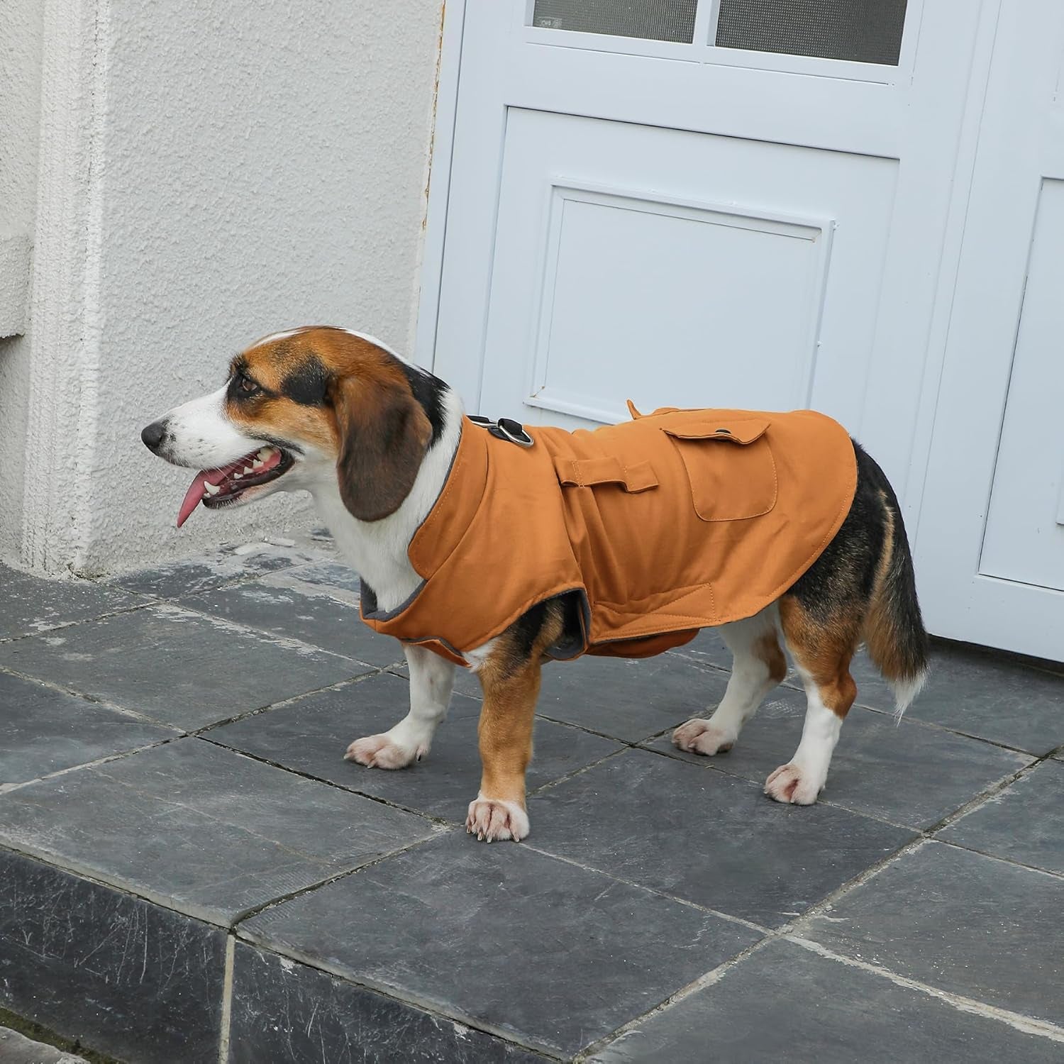 Stylish Windproof Dog Coat