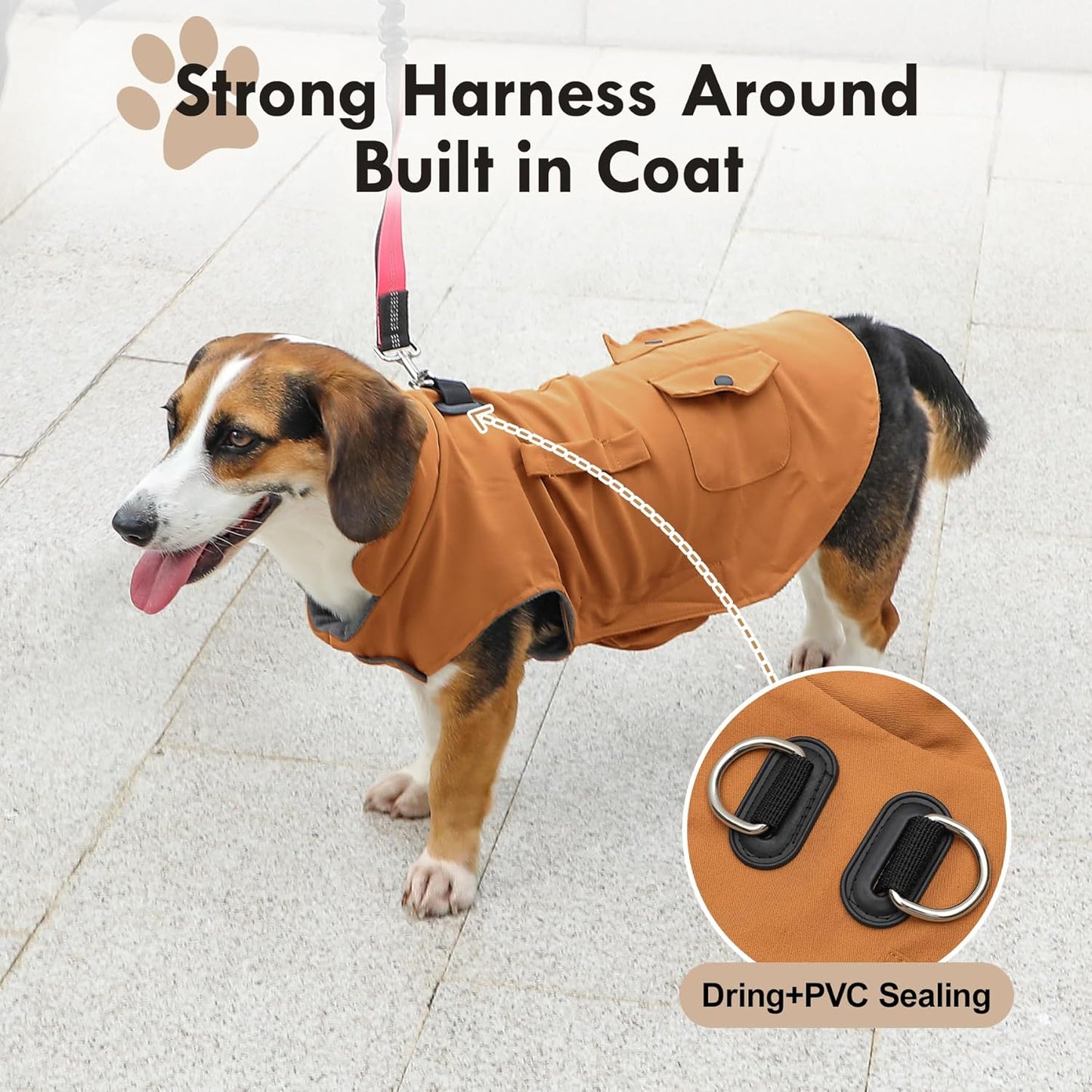 Stylish Windproof Dog Coat