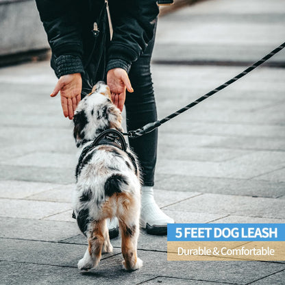 Premium Reflective Dog Leash