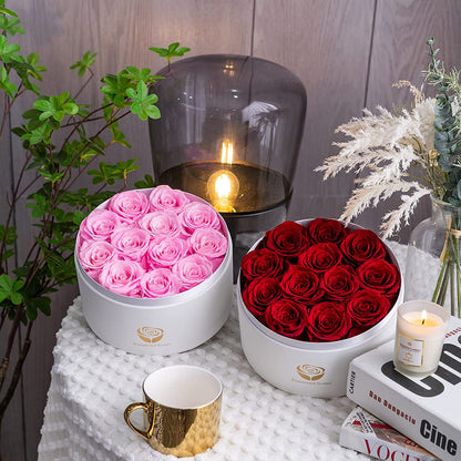 Preserved Red Roses