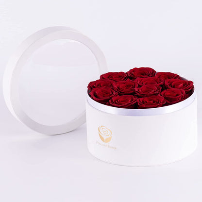 Preserved Red Roses